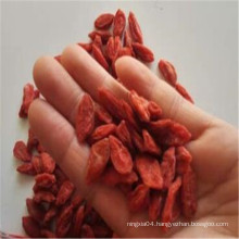 organic goji berry market price gouqi berries organic usda fruits dried